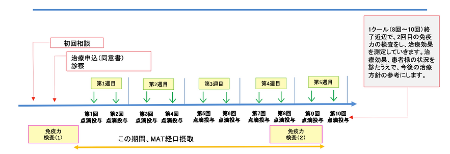 Hybrid MAT 療程時間軸：初回相談 → 第1-5次點滴投與 → 免疫力評估