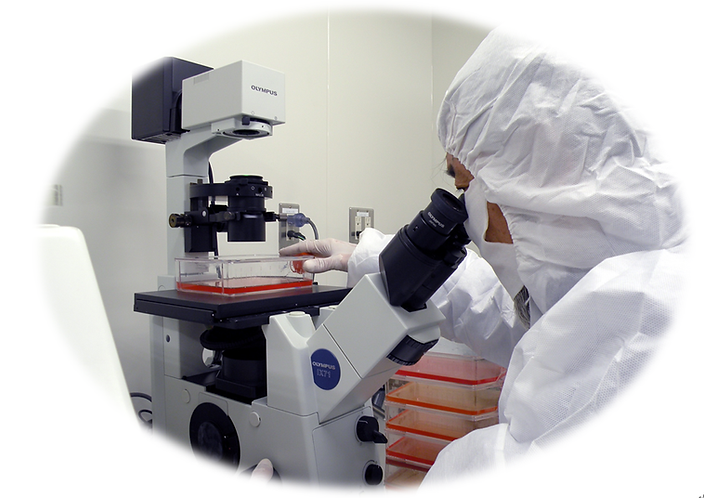 Sechs-Zell-Kombinations-Immuntherapie — Umgebung des Zellkulturlabors